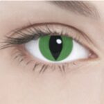 9-green-cat85_220x160.jpg